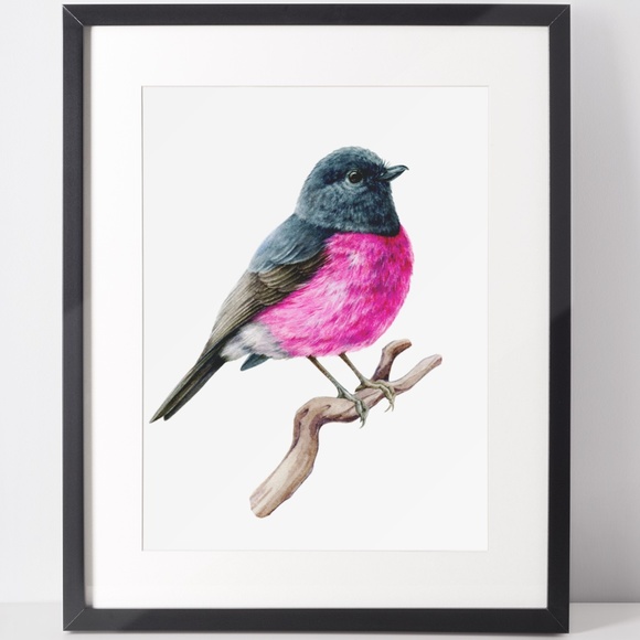 Pink Robin Bird Wall Art Watercolor Illustration Print Poster Card Unframed - Picture 2 of 7